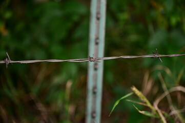Barbed Wire