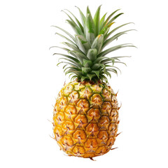 Single pineapple, vibrant yellow and green (2)