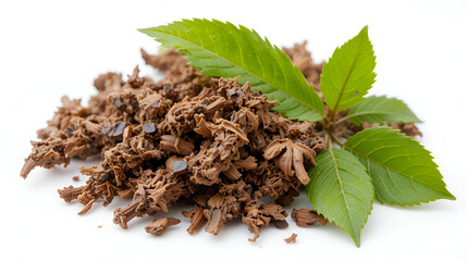 Cascara herb bark used in herbal medicine to treat constipation on white background. Rhamnus purshiana.