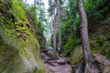 Adrspach, Czech Republic - 20.07.2025: View of the Adrspach-Teplice Rocks with Lake Piskovna. Forest and rocks.