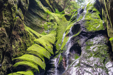 Adrspach, Czech Republic - 20.07.2025: View of the Adrspach-Teplice Rocks with Lake Piskovna. Forest and rocks.