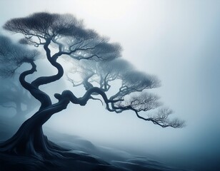 striking silhouette of tree with prominent curved branch enveloped in soft ethereal fog
