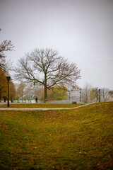 A sprawling park scene on Old Kyiv Hill in Kyiv's Landscape Alley features a broad path, scattered...