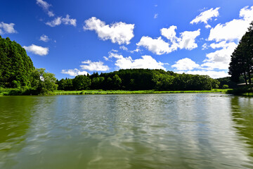 新緑に包まれた高山の池　龍王ヶ渕
