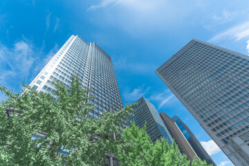 丸の内の高層ビル群 © 徹 二渡