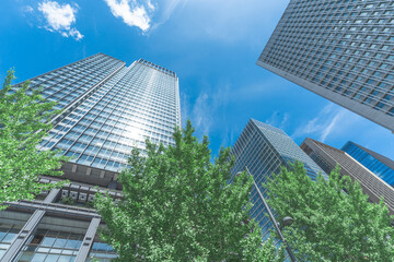 Obraz premium 丸の内の高層ビル群