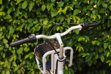 Bicycle handlebars in front of green leaves. Eco-friendly transport in nature. Sustainable mobility...