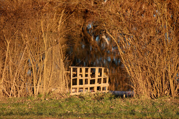 A makeshift wooden fence borders a flooded area, framed by leafless shrubs reflecting golden hour...