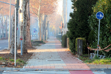 A wide paved city sidewalk bordered by tall trees and bushes is marked as a shared lane for...
