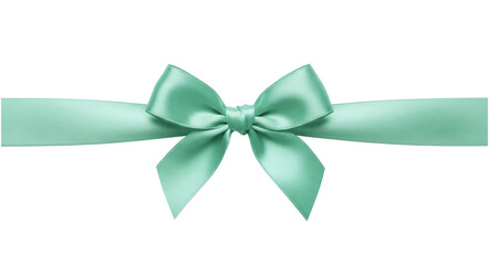 Mint green satin ribbon bow for a gift or decoration