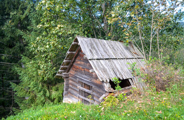 Aged wooden cabin surrounded by vibrant greenery in a peaceful forest, evoking serene and rustic charm. Perfect for concepts like tranquility, abandonment, nature, and solitude