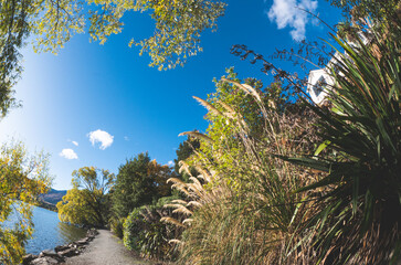 Walking path road lake hayes new zealand beautiful nature day sunny