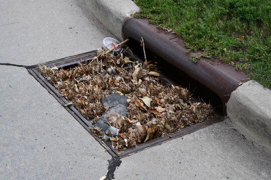 Clogged storm drain. Trash and leaves block drain.