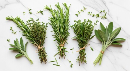 different types of fresh herbs 