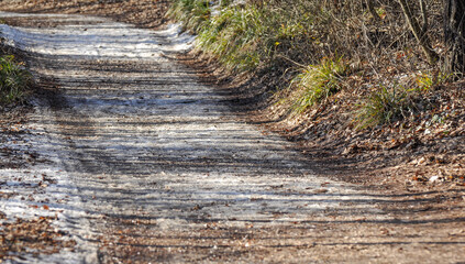Naklejka premium path in the forest with snow and shadow stripes