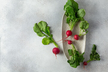 bunch of radishes with green leaves on grey background with copy space