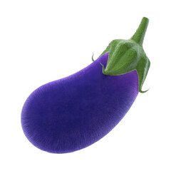 Vibrant purple eggplant with a fuzzy texture, perfect for quirky food blogs, unique culinary designs, or whimsical kitchen decor projects today