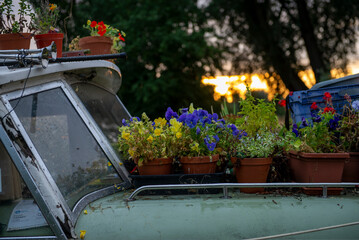 Potted Flowers on Boat Roof at Sunset

