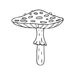 Black and white line drawing of a fly agaric mushroom. Hand-drawn vector style, clean outline, no color. Perfect for coloring books, botanical prints, nature education, stickers, and fall decor.