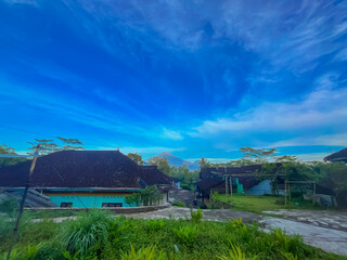 The view between green grass and housing accompanied by a sky that is so bright and blue