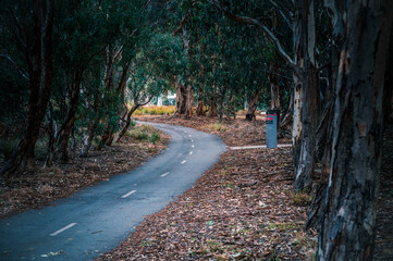 Fototapeta premium The photo showcases the beautiful scenery on both sides of the Lake Burley Griffin