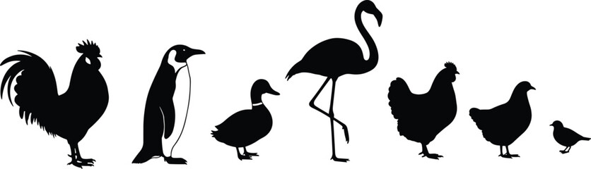 Vector Bird Silhouette Pack — Rooster, Penguin, Duck, Flamingo, Hen, and Sparrow in CAD Style Animal Pose Set