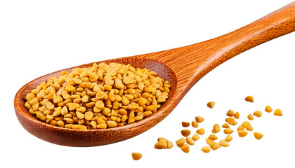 Fenugreek full image of wooden spoon isolated on white background as transparent. PNG. 