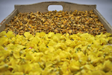 Trocknen von K&ouml;nigskerzen als Heilpflanze