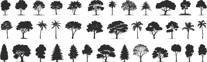 Collection of tree silhouettes, various forest and tropical species, nature elements for landscape design, vector foliage shapes set