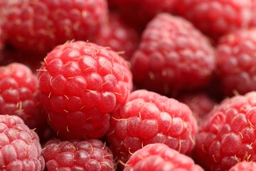 Many fresh ripe raspberries as background, closeup