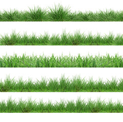 Fresh lush green grass isolated on white, set