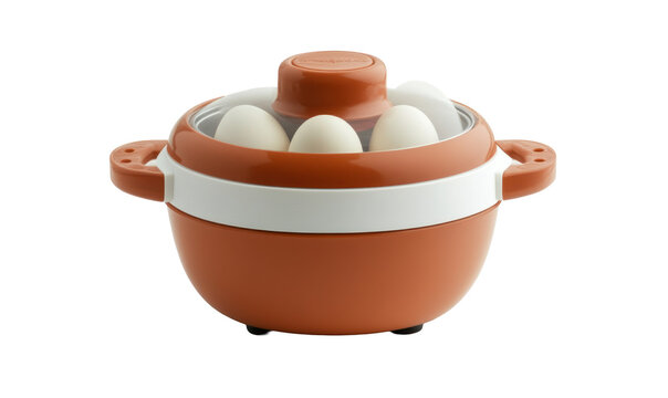 Egg Cooker with Multiple Eggs