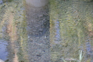 Steaming Hot Spring in Former Volcanic Area

Geothermal Stream from Old Volcano Caldera
