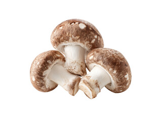 Fototapeta premium Brown mushrooms with white stems caps, Png Transparent, Isolated on White