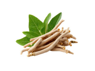 Dried ashwagandha roots with green leaves natural herb, Png Transparent, Isolated on White