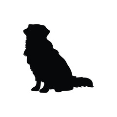 Golden retriever silhouette
