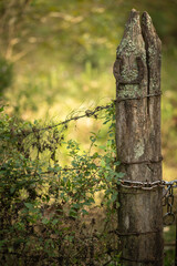 Lucky horseshoe on an old farm pallet