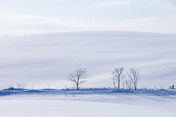 Dazzling snowy hills and trees