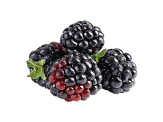 Ripe juicy blackberries glistening dark fruit blackberry food, Png Transparent, Isolated on White