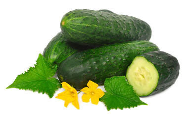 Cucumbers with leaves and flowers isolated on white background. Healthy vegetable