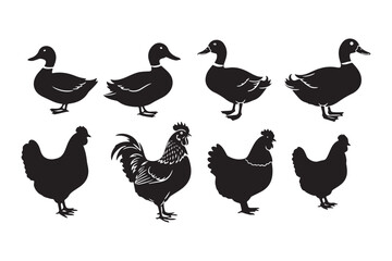 Duck Chicken Silhouette Illustration Bird Animal Vector Collection