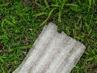 A textured grey object, possibly concrete or stone, rests on vibrant green grass and lush foliage,...