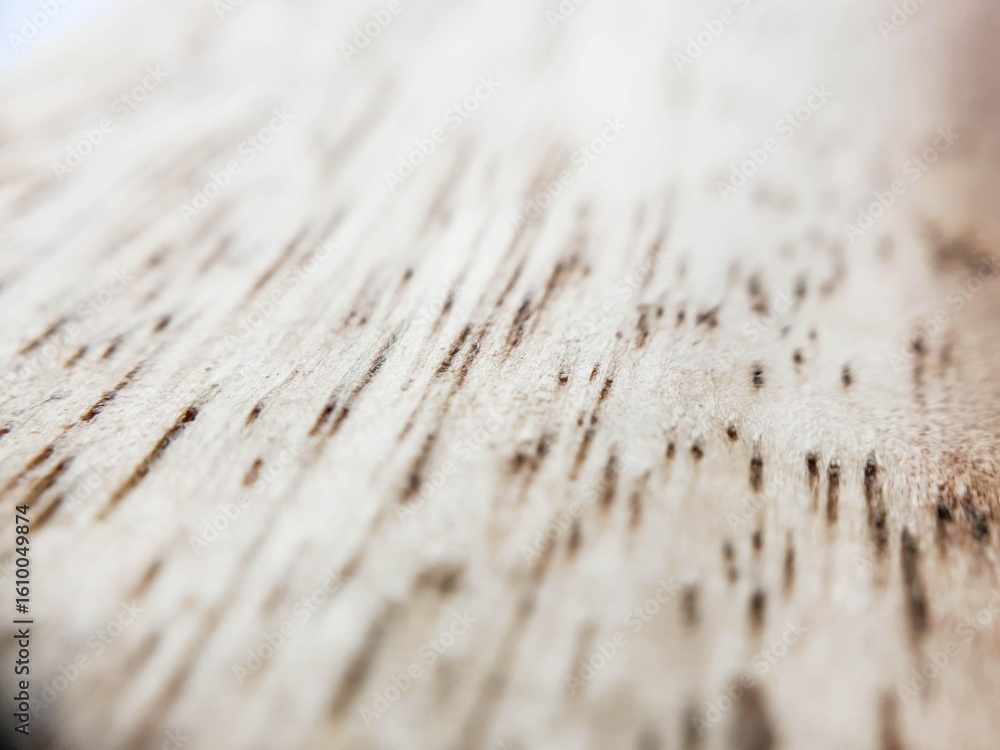 Aufkleber macro shot of light wood grain texture with dark linear patterns, creating an abstract and natural b