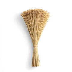 Dried natural wheat grass bundle home decor on a Transparent Background