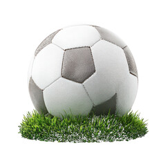 Obraz premium White gray soccer ball on green grass isolated on a transparent background sport