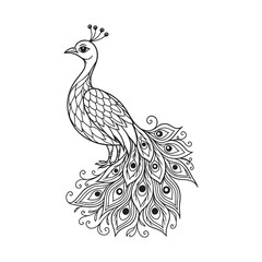 Elegant Peacock Silhouette Vector Design, Artistic Bird Image