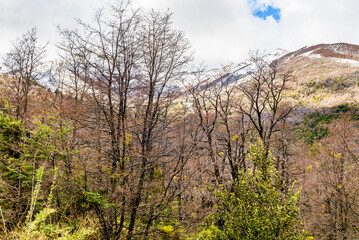 Obraz premium The Bonito River Waterfall, surrounded by forests and mountains, is a tourist attraction in Villa La Angostura, Argentina.