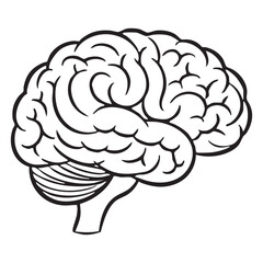 Human brain vector illustration for medical and educational content