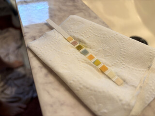 Chlorine PH and Alkalinity Pool Testing Strip