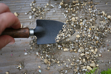 Top view of succulent potting with special soil mix and mini shovel